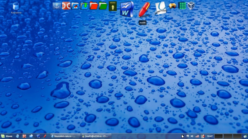 LM 17.3 Cinnamon (i386) + Docky